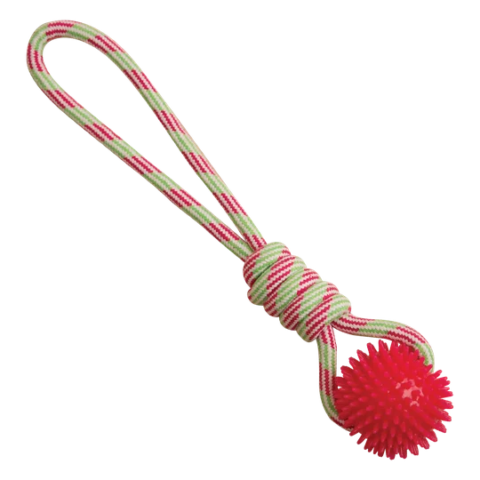 Snugarooz Spike-O-Mite Rope Dog Toy